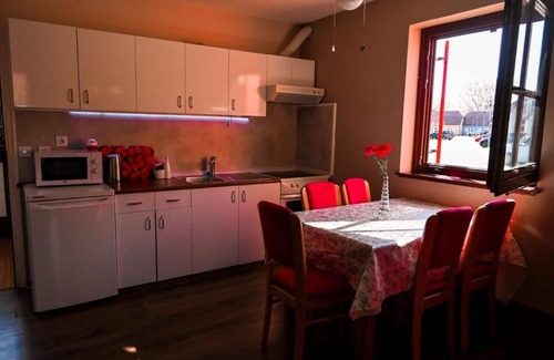 Catez ob Savi House | Mad House Apartment 2, Terme Čatež