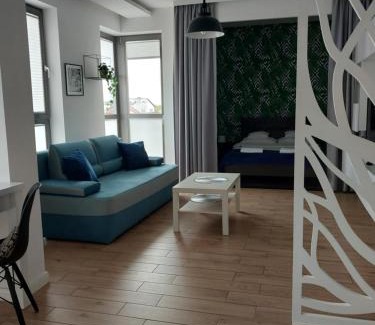 Wyszkow Apartment | Maestro