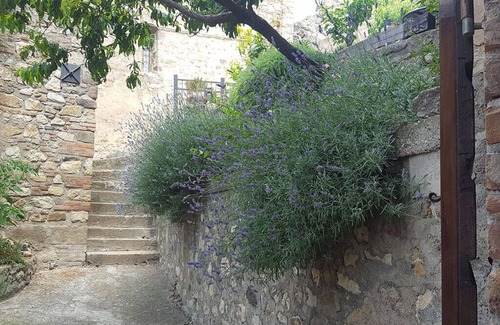 Montemassi Apartment | Magical place, middle ages and nature!