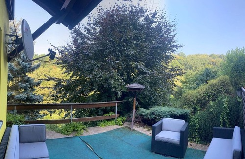 Schmalkalden Apartment | Magnolia Ferienwohnung mitten in Grünen mit Terasse und Sauna