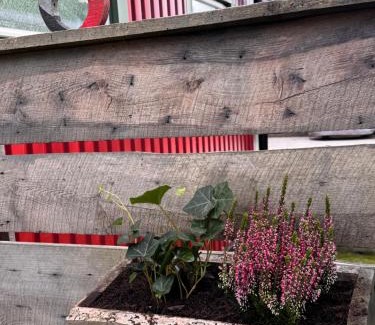 Alvsered House | Magnolia