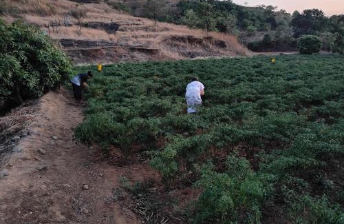 Kadadhe House | Maharaja foothills Courtyard 4 BHK Villa with Pool