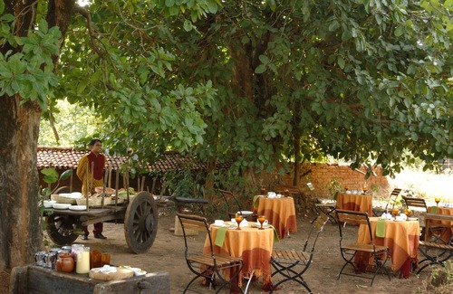 Tala Cabin | Mahua Kothi, Bandhavgarh National Park