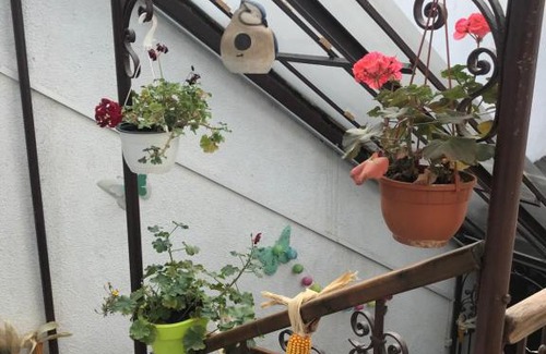 Historic Center Apartment | Maison Adamis