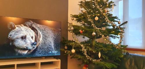 Amiens - Val-d'Avre House | Maison Calme Terrasse et Jardin Vue Forêt