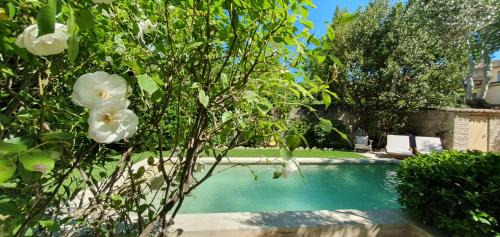 Chateau Gombert Bed & Breakfast | Maison d'hôtes La Bastide de Patou