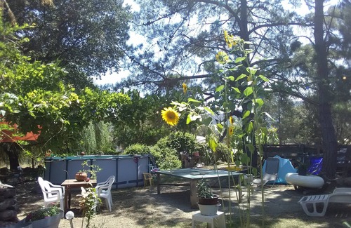 Moltifao Bed & Breakfast | Maison de Table d Hotes a Côté de la Ferme