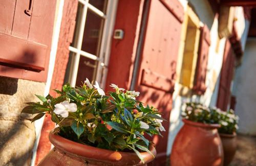 Sare Bed & Breakfast | Maison Dominxenea