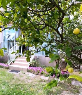 Pineto Villa | Maison en bord de mer, Plage de la Marana en Corse