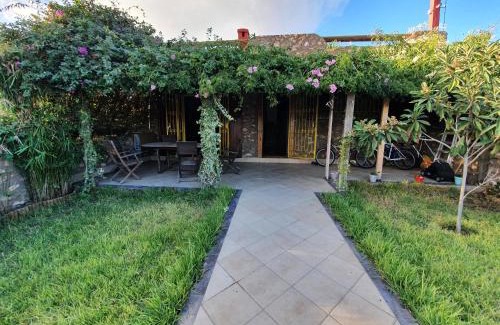 Boulaouane House | maison la branche d oiseaux