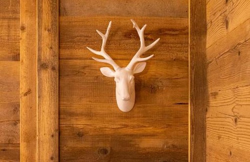 Courmayeur Apartment | Maison La Louche - Courmayeur