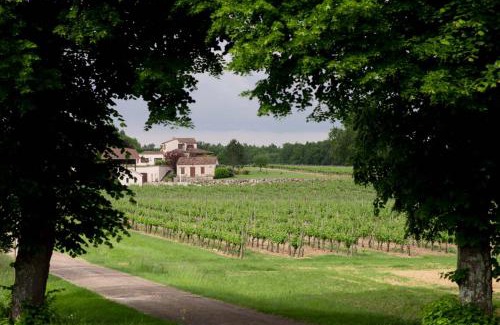 Villeneuve-de-Duras House | Maisonnette au coeur d'un vignoble