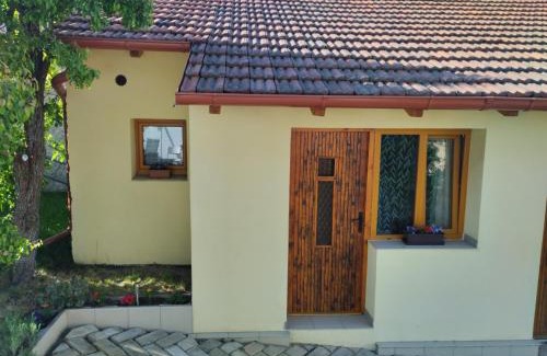 Svinarov Apartment | Malé útulné studio s koupelnou a kuchyňkou