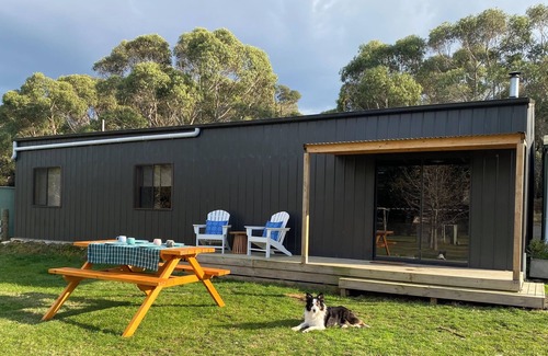 Mount Doran House | Man Cave with a touch of Lux. and an open fire.