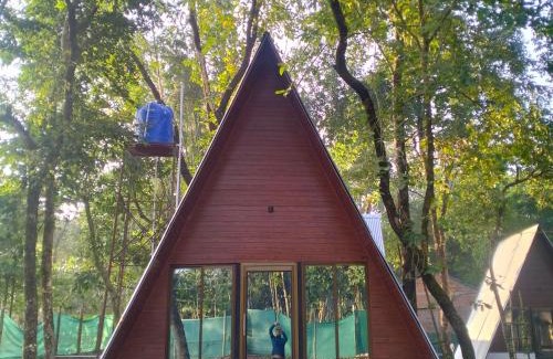 Barangabari Hotel | Manas nature hut