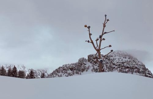 Courmayeur Apartment | mansardacourmayeur