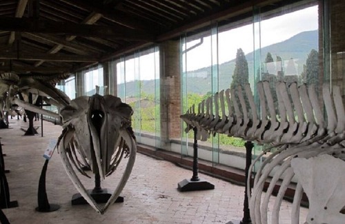 Calci Ski Chalet | mansion - 3 rooms - 2/4 persons