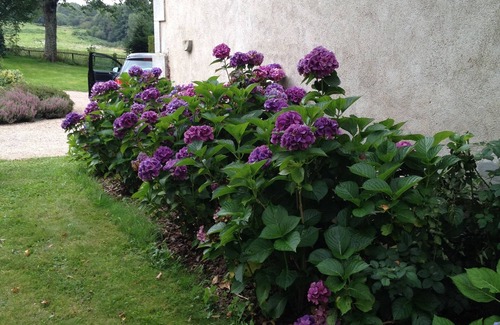 Champagnac House | Mansion with swimming pool in the heart of the Auvergne volcanoes