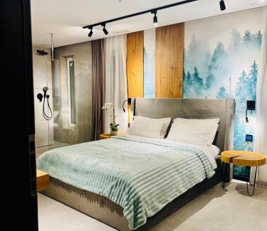 Valiug Hotel | MAPaMONT