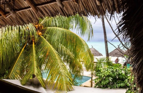 Jambiani Apartment | Mapenzi Suite Deluxe Suite Sea View with AC
