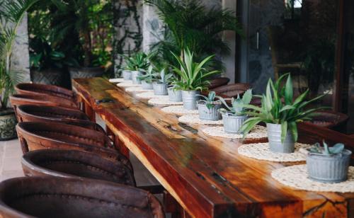 El Marques Bed & Breakfast | María & Bernardo Casa - Viñedo