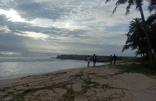 Kadakkarappally House | Marari beach daze homestay