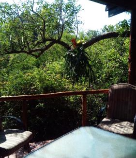 Kampersrus Villa | Marepe Flora Mountain View