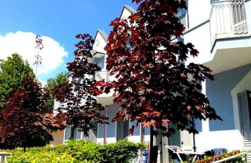 Viserbella Apartment | Margherita Rimini - Appartamenti al Mare