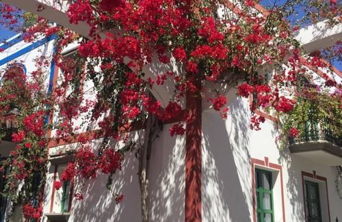 Lomo Quiebre Apartment | Marina Apartment With Garden by El Sirocco