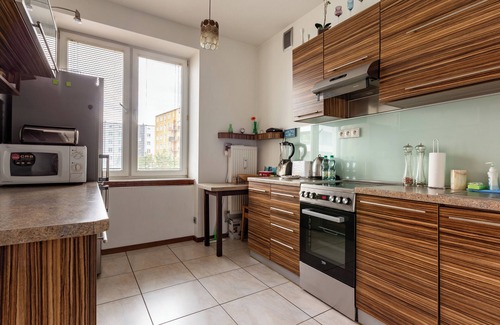 Srodmiescie Apartment | Marina Harmony Apartment