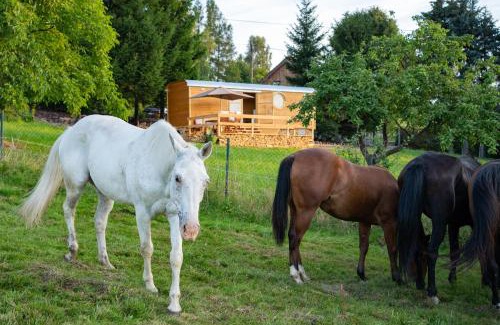 Cetenov-Dehtary Other | Maringotky Na Růžku