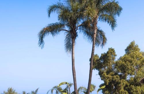 Orikum Hotel | Maritim Marina Bay Resort SPA & Casino