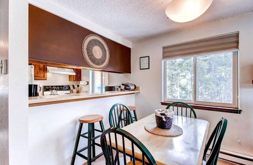 Warrior's Mark Condo | Mark 9 Condo 2 Bdr Full Kitchen sleeps 6 Breckenridge, CO