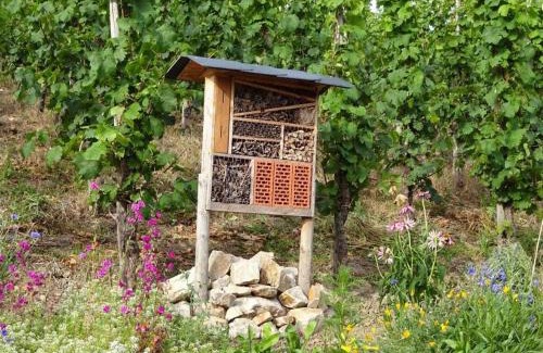 Osann House | Marmann - large holiday apartment