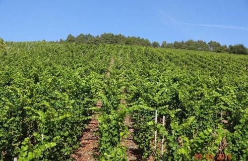 Osann House | Marmann - large holiday apartment