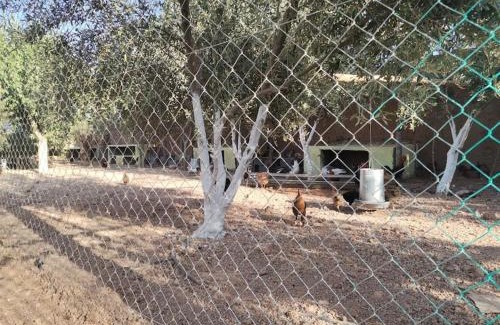 Souihla Villa | Marrakech Luxury Villa Farm