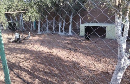 Souihla Villa | Marrakech Luxury Villa Farm