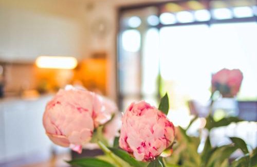 Civenna Apartment | Marta flat, mountain and lake view, Bellagio