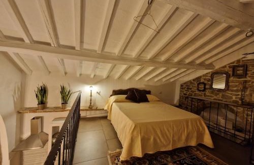Macchia House | Mary wine house