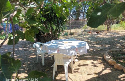 Bompas House | Mas San Salvador