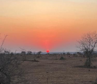 Thorny Bush Game Reserve Other | Masingitana Tented Camp