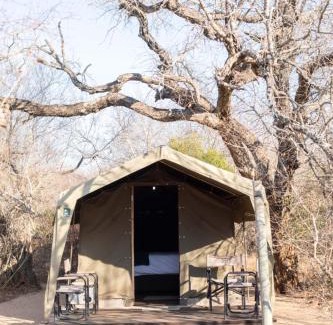 Thorny Bush Game Reserve Other | Masingitana Tented Camp