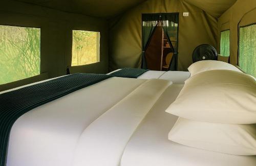 Thorny Bush Game Reserve Other | Masingitana Tented Camp