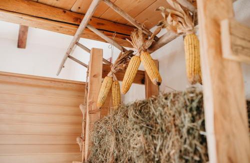 Sant'Orsola Terme Ski Chalet | Maso Del Fieno con Sauna Privata e Vista Unica