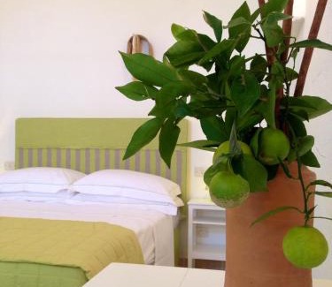 Fasano House | Masseria Corte degli Asini