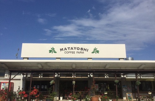 Gesashi Hotel | Matayoshi Coffee Farm