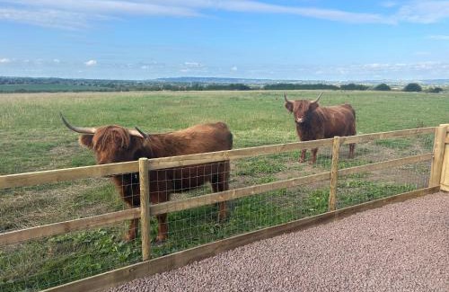 Whaddon Hotel | Maylands Farm Glamping Pod