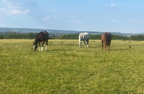 Whaddon Hotel | Maylands Farm Glamping Pod