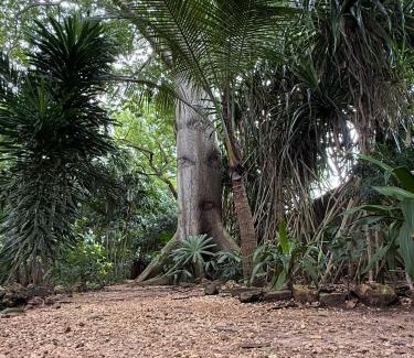 Mbweni Hotel | Mbweni Ruins & Gardens Previously Jungle Paradise