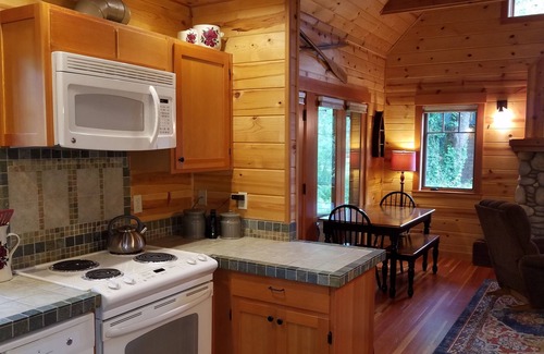 McKenzie Bridge Cabin | McKenzie Riverfront Cabin big screened-in porch, 1/2mi to Mckenzie River Trail